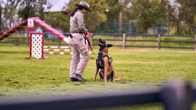 Tout savoir sur la cynotechnie et les méthodes canines Tout savoir sur la cynotechnie et les méthodes canines